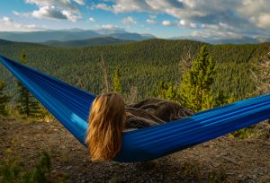 DayLite Hammock
