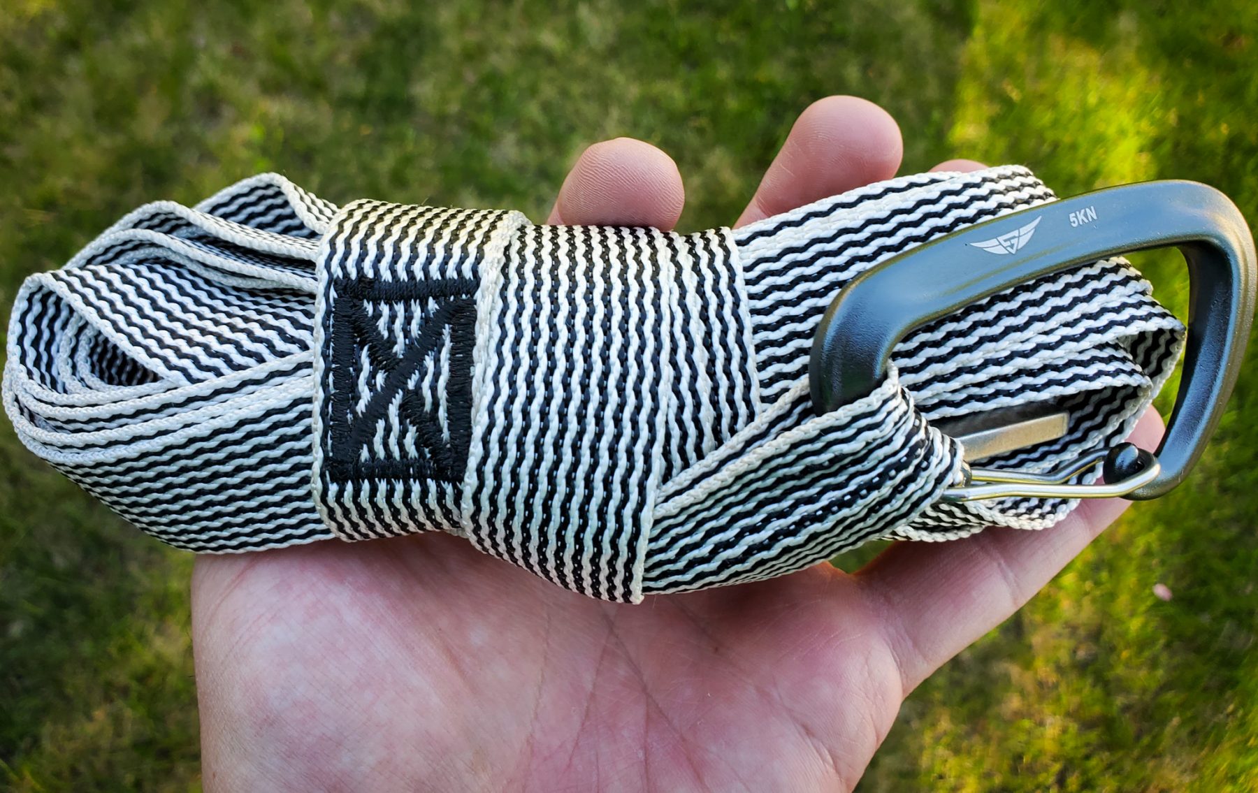 Superior Carabiner (Pair) - Image 4