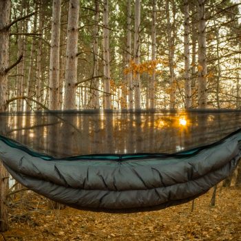 Superior Hammock and Zippered Bugnet