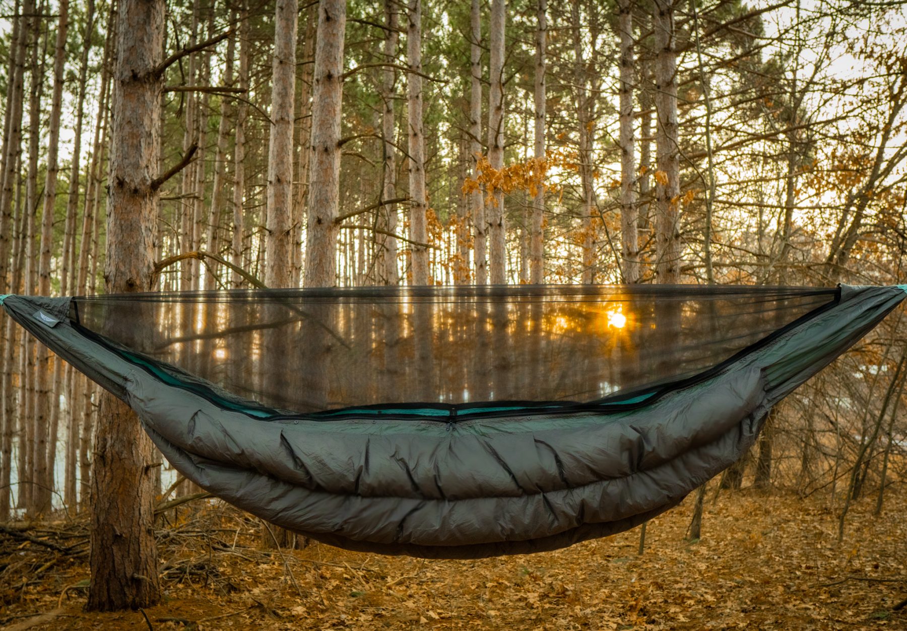 Superior Hammock and Zippered Bugnet