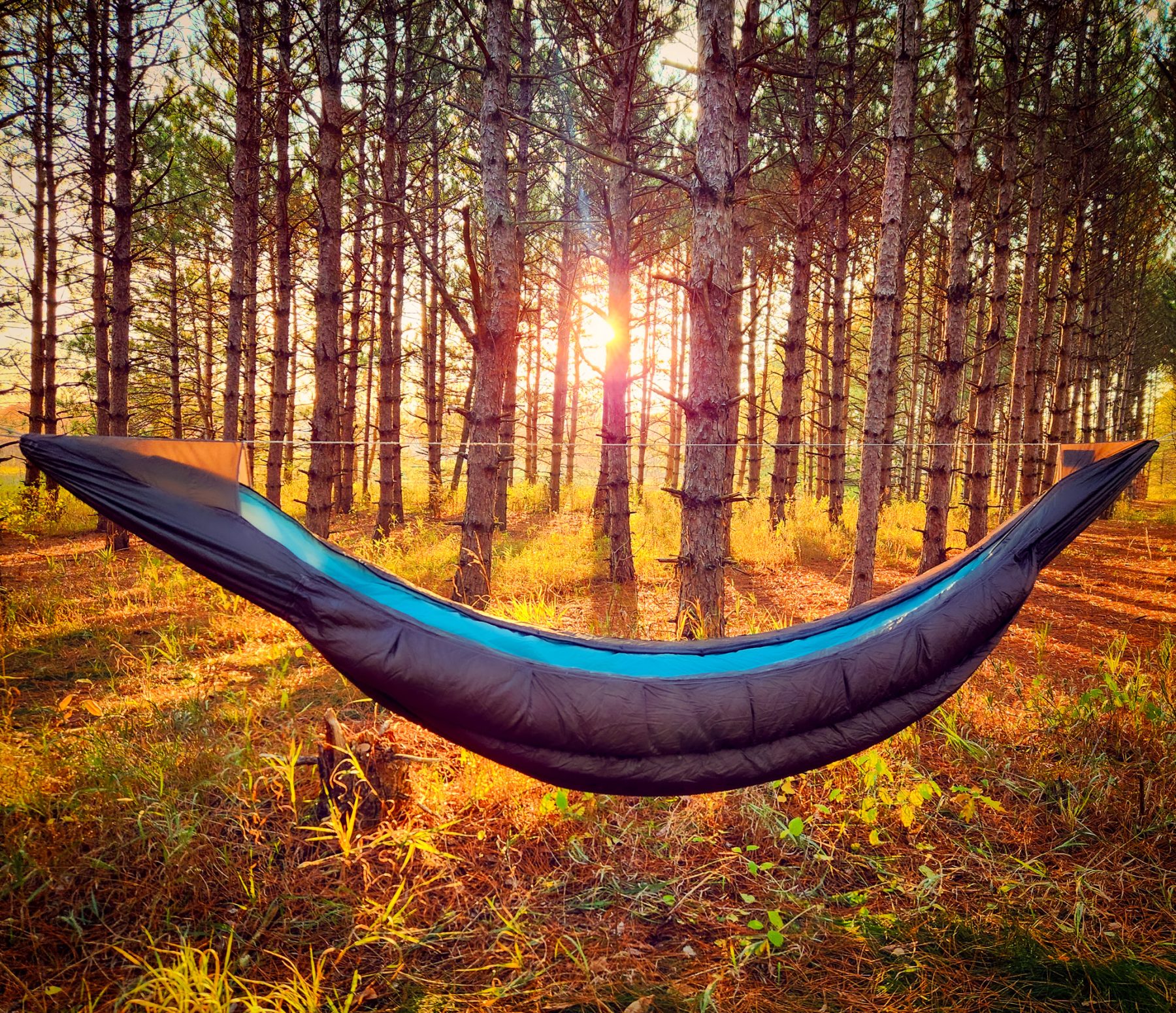 Superior Hammock