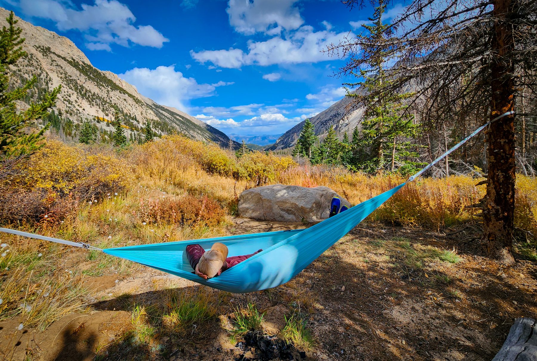DayLite Hammock