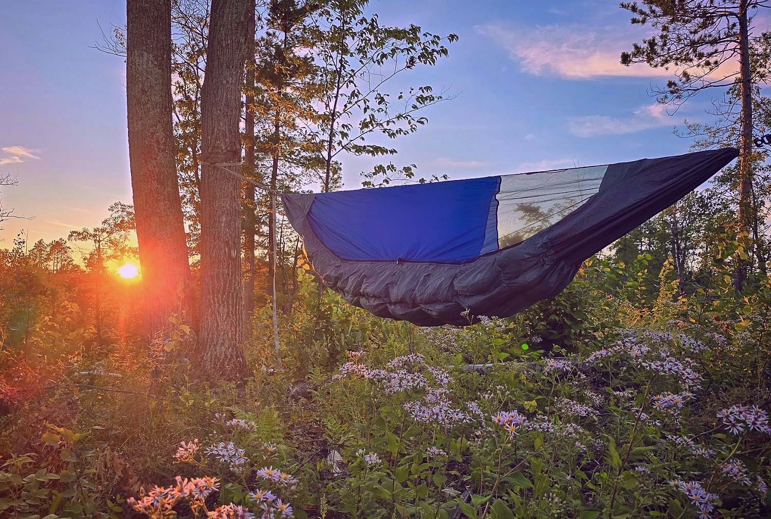 Superior Voyager Hammock