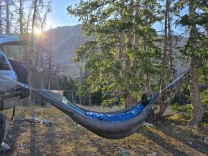 Black and blue hammock set up by a pine tree and truck.