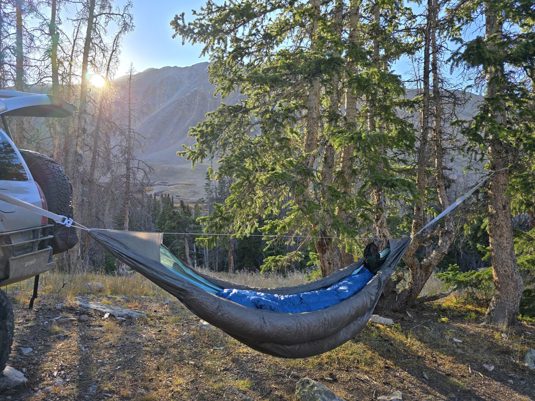 Black and blue hammock set up by a pine tree and truck.