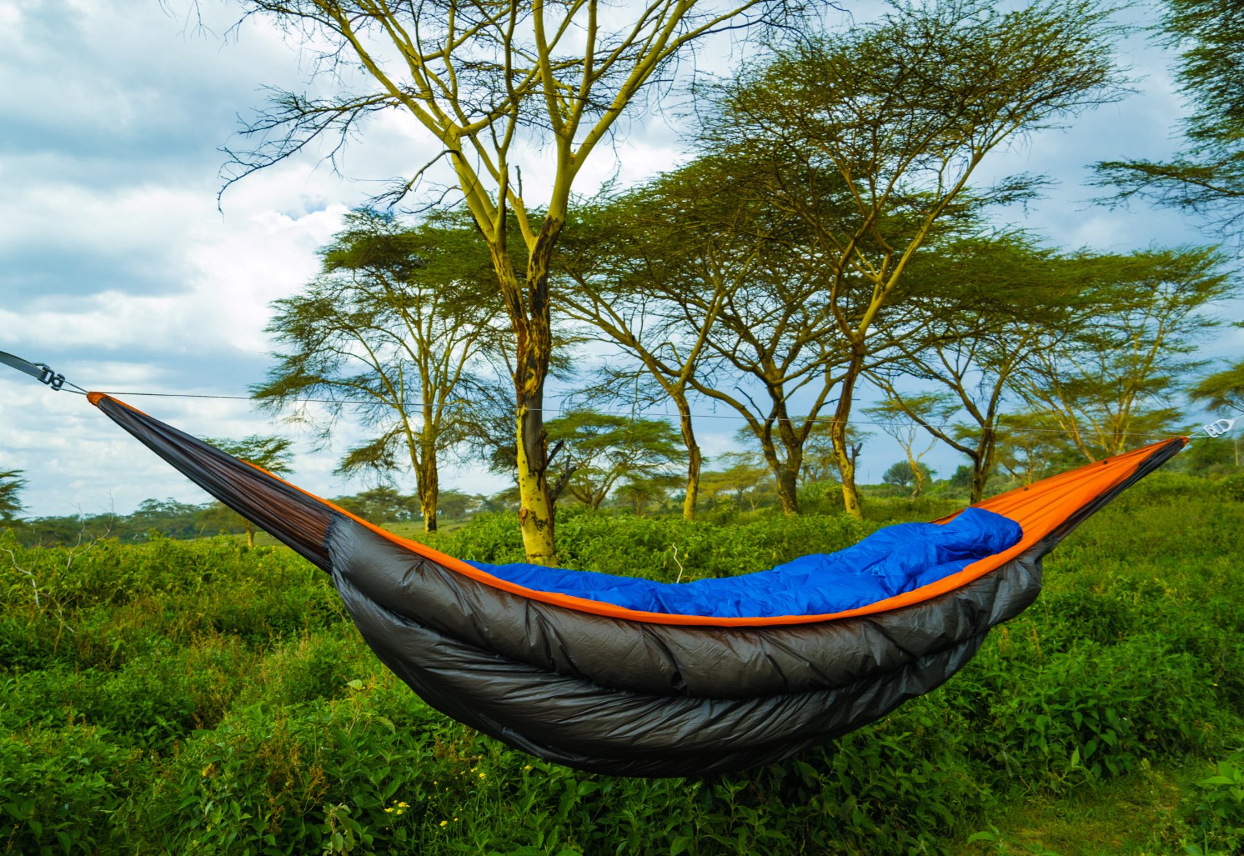 Black and orange hammock.