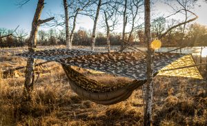 Camo hammock and shelter set up in a field.
