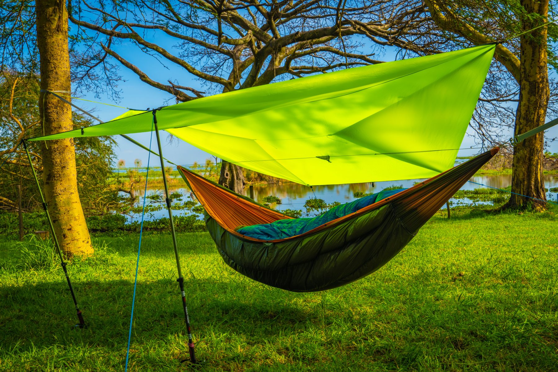 Green hammock set up by a marsh.