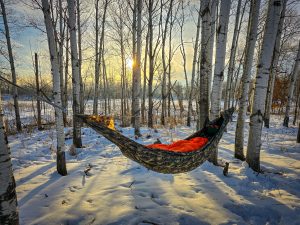 Camo hammock set up in a snow covered birch forest.